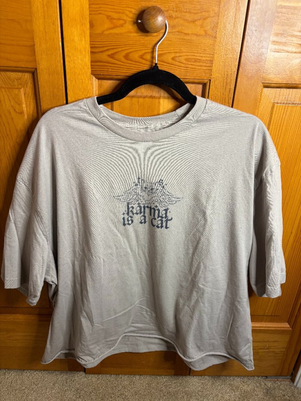 Taylor Swift Karma is a Cat Crop Top (Size 3X)